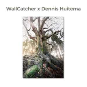Dennis Huitema – Eindeloze wortels | Unieke fotokunst