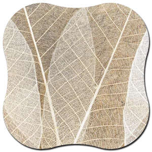 Organische vorm Blad textuur