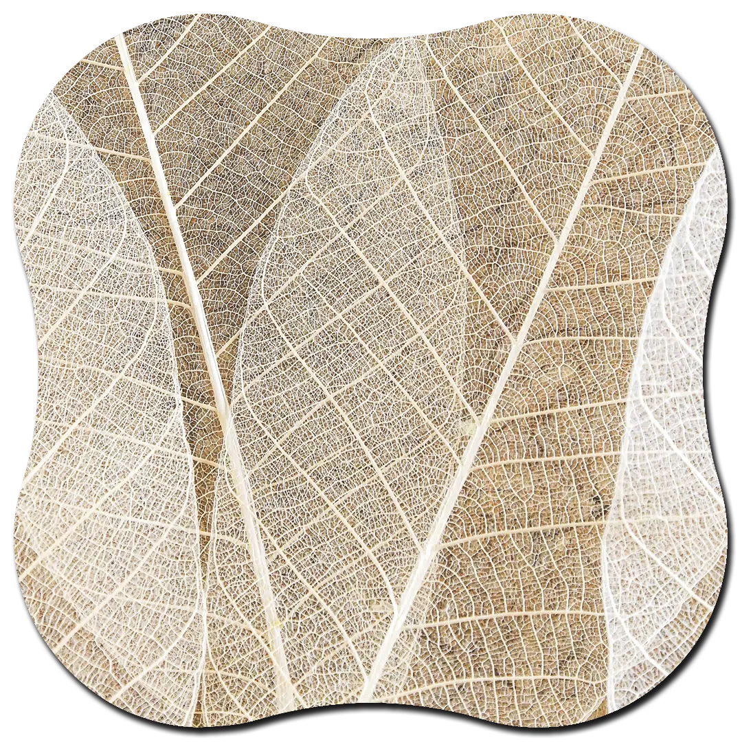 Organische vorm Blad textuur