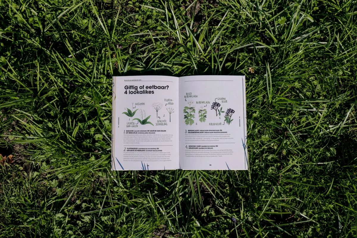 Het groene geluk - Uitgeverij Snor - Afbeelding 9