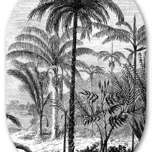 Muurovaal Palm Jungle
