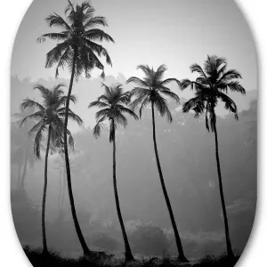 Muurovaal Palm Trees