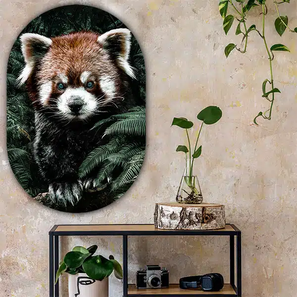 Muurovaal Red panda - Afbeelding 4