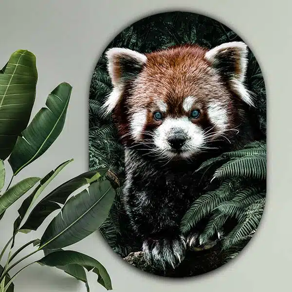 Muurovaal Red panda - Afbeelding 3
