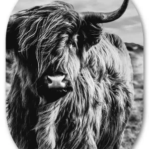 Muurovaal Schotse hooglander zwart wit