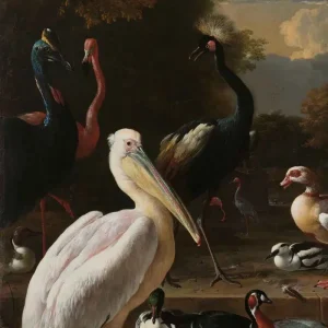 Het drijvend veertje – Melchior d’ Hondecoeter
