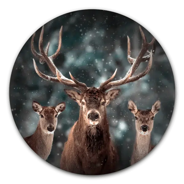 Muurcirkel Winter Deers - Afbeelding 2